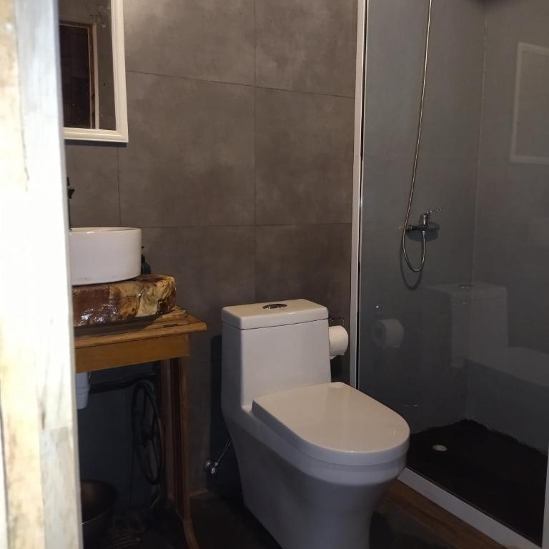 Acogedora y céntrica cabaña con bosque nativo - Two-Bedroom House - 4