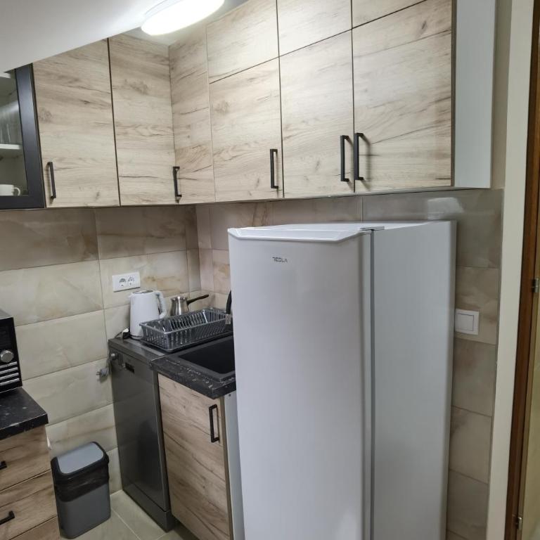 Apartman Danica - Apartman sa 1 Spavaćom Sobom - 4