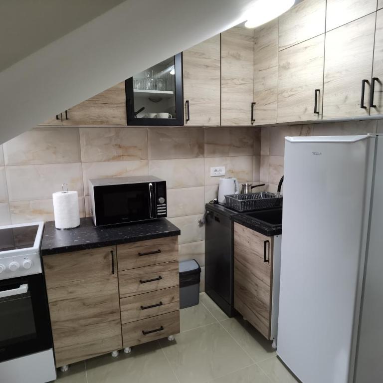 Apartman Danica - Apartman sa 1 Spavaćom Sobom - 5