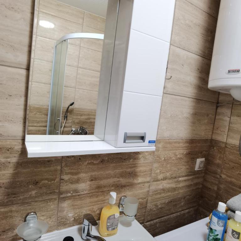 Apartman Danica - Apartman sa 1 Spavaćom Sobom - 6