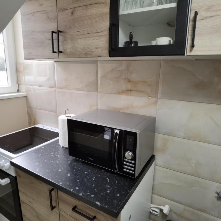 Apartman Danica - Apartman sa 1 Spavaćom Sobom - 20