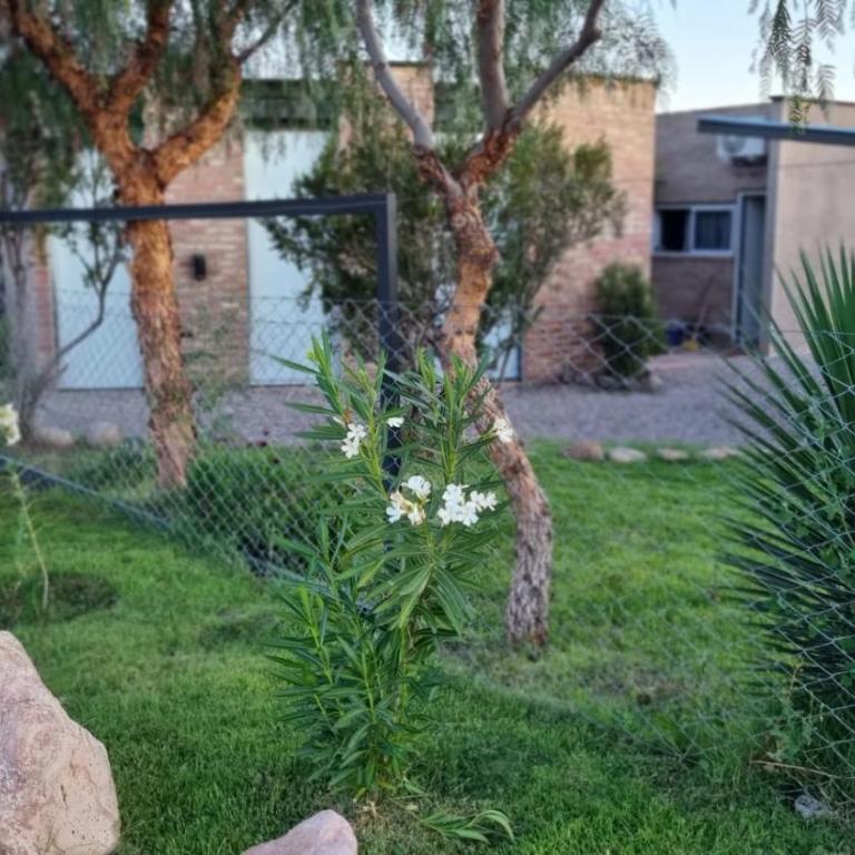 Aguaribay 1 - One-Bedroom Apartment - 17