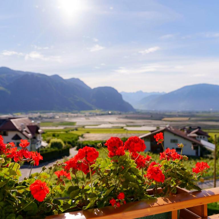 Ferienwohnungen Wieserhof in Andrian, zwischen Bozen und Meran - Appartamento con 1 Camera da Letto, Balcone e Vista Montagna - 9