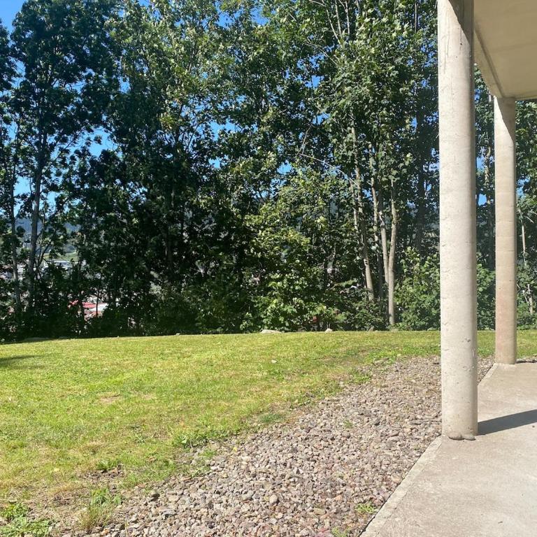 Appartement avec jardin privatif Gérardmer - Appartement 2 Chambres - 14
