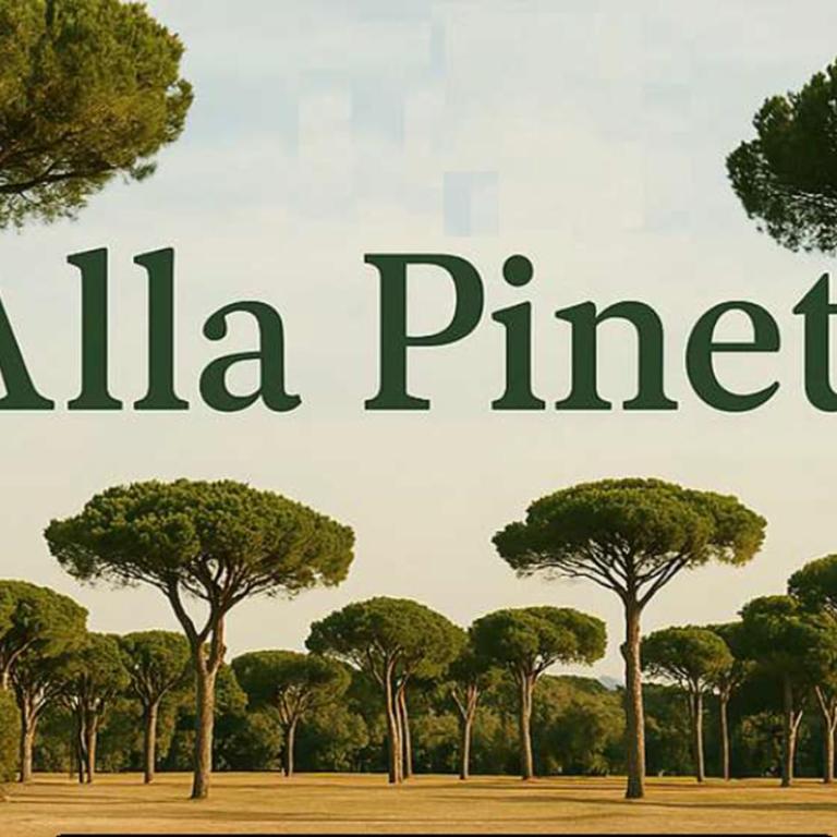 Alla Pineta - Appartamento con 2 Camere da Letto - 31