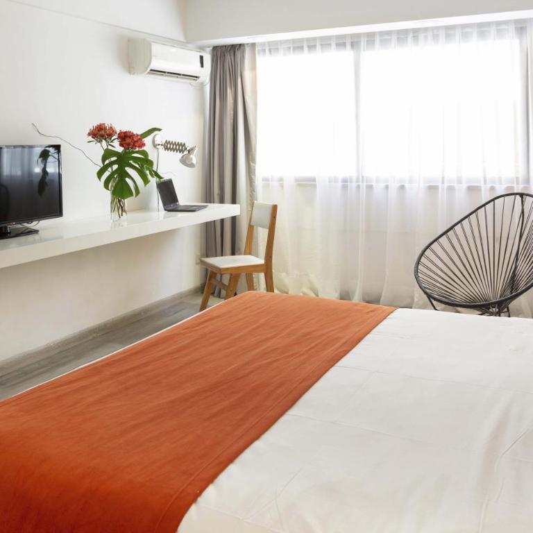 Deco Collection - Estudio - 1