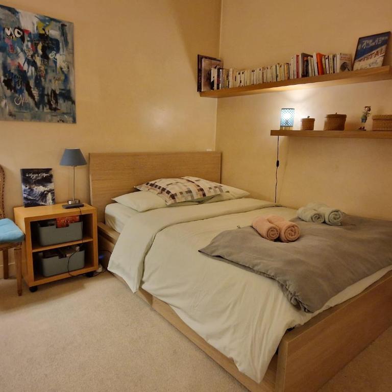 2 Private rooms in an Elegant Haussmannian Appartement - Double Room - 24
