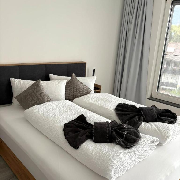 DAS LUDWIG - Haus HOCHLAND - Apartment mit 2 Schlafzimmern und Terrasse - 4