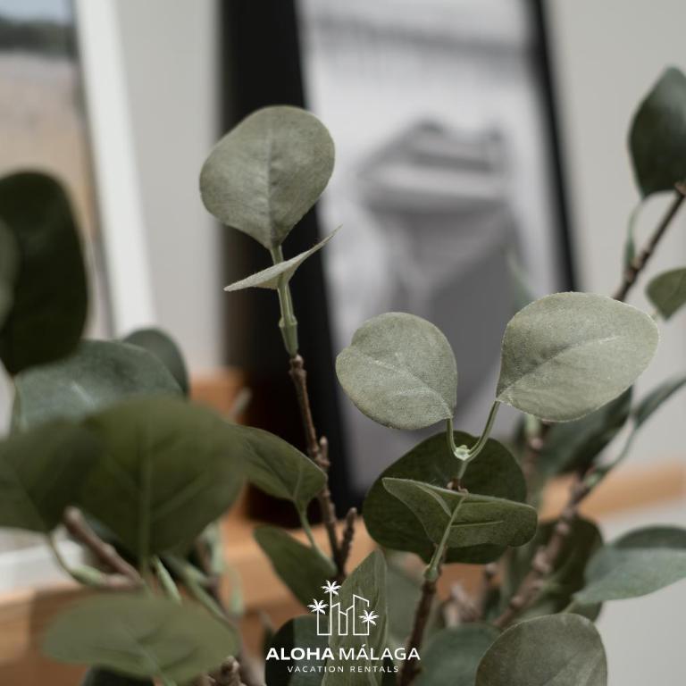 Urban Soho Collection by Aloha Málaga - Apartamento de 2 dormitorios - 5