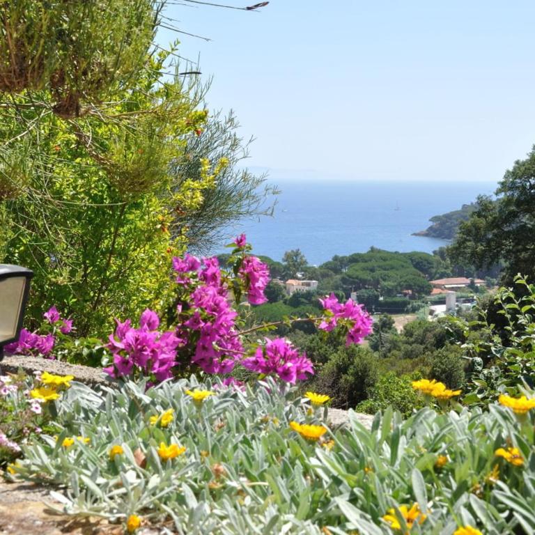 Villa Gualdo piscina vista mare - Villa - 3