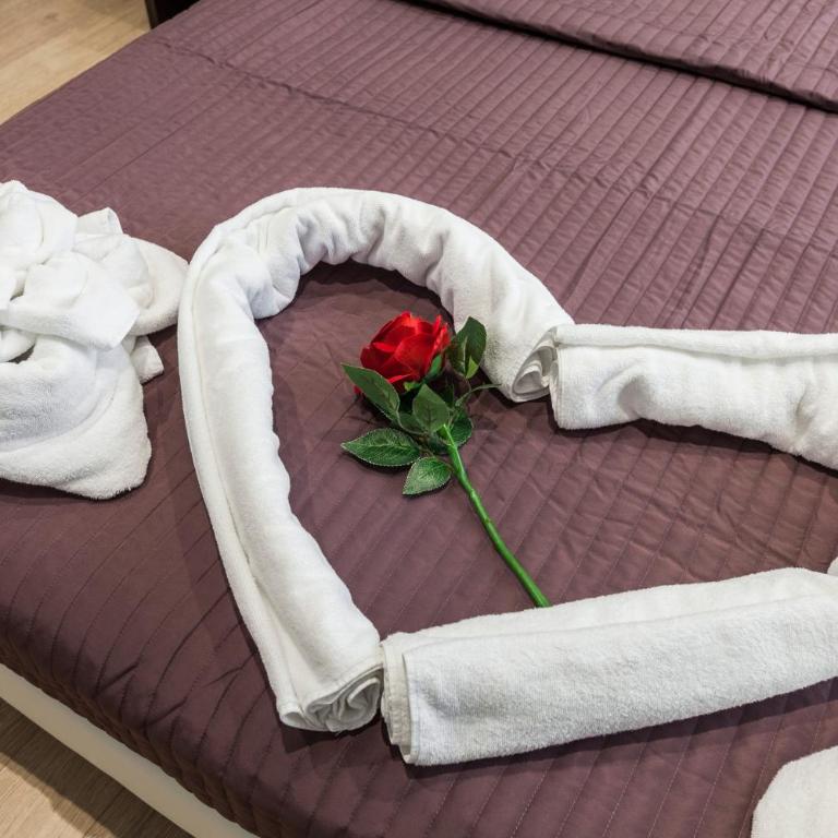 Stardust Rome Guest House - Camera Matrimoniale/Doppia con Letti Singoli - 8