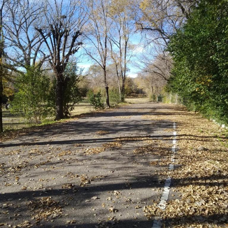 La tranquera ll - Apartamento de 1 dormitorio - 27