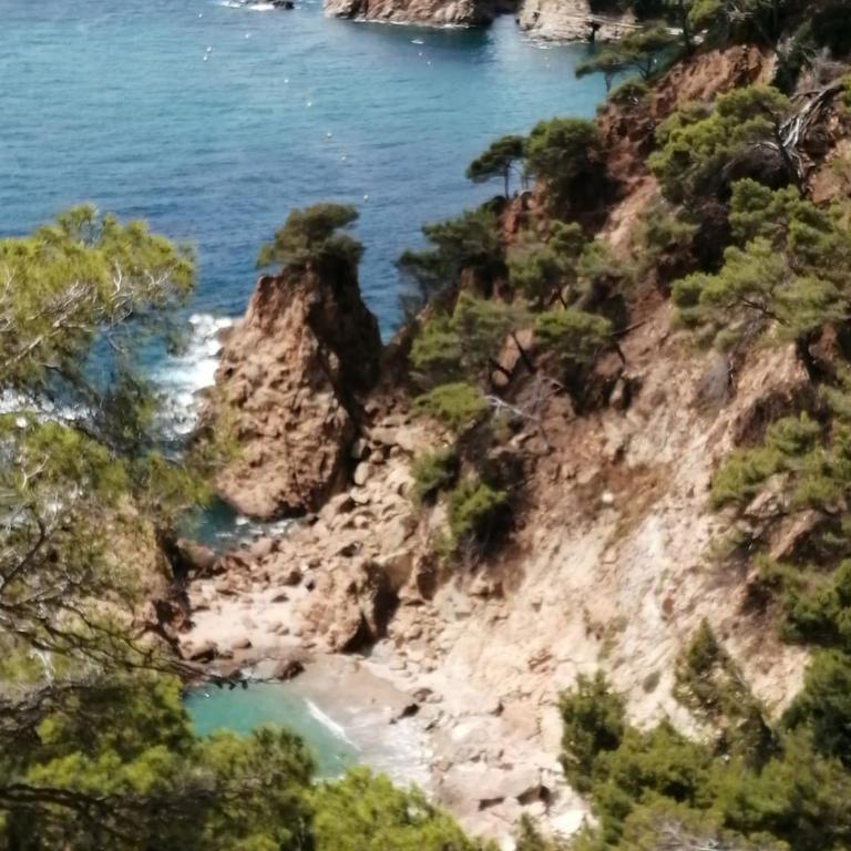 Apartment with garden and sea view Santa Cristina Blanes - Apartamento de 2 dormitorios - 53