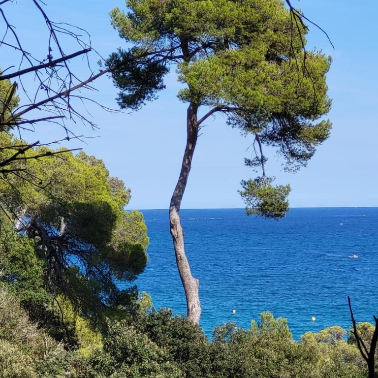 Apartment with garden and sea view Santa Cristina Blanes - Apartamento de 2 dormitorios - 50