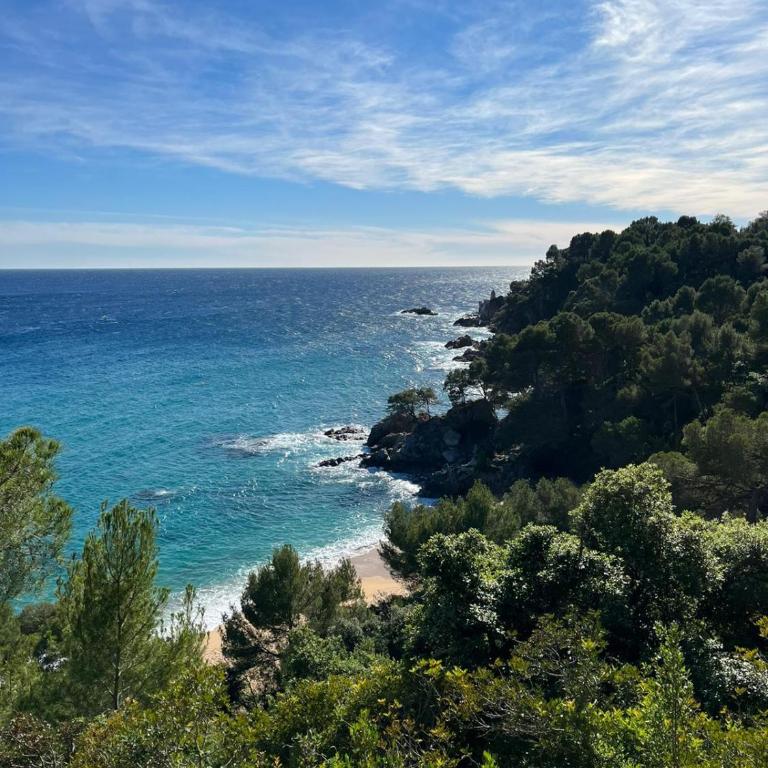 Apartment with garden and sea view Santa Cristina Blanes - Apartamento de 2 dormitorios - 69