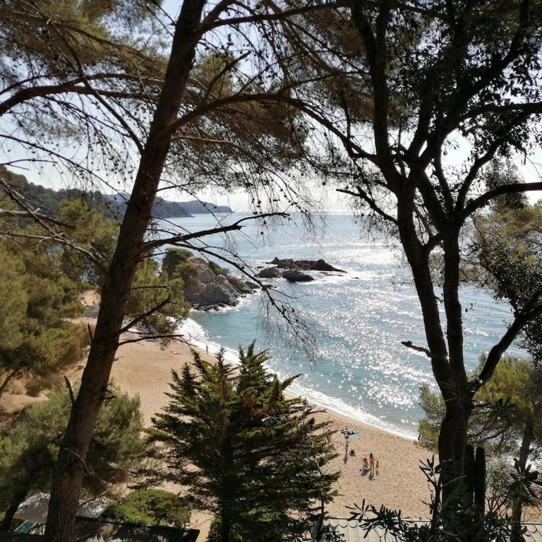 Apartment with garden and sea view Santa Cristina Blanes - Apartamento de 2 dormitorios - 73