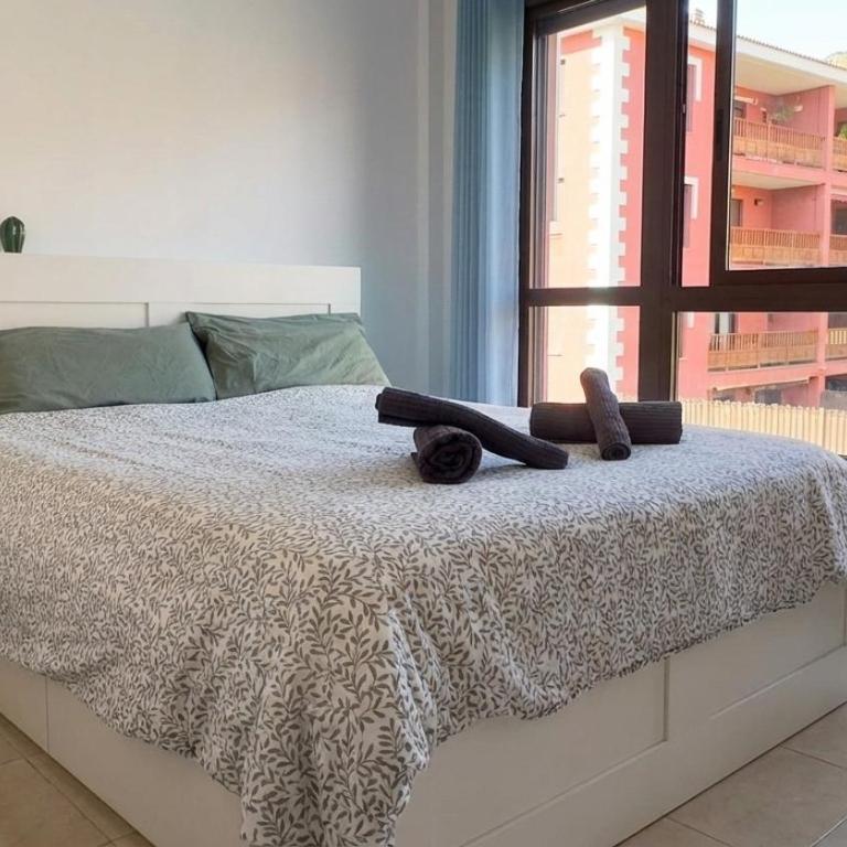 Palm Mar Exclusive Suite - Tenerife Sur - Apartamento Deluxe de 1 dormitorio con vistas al jardín - 2