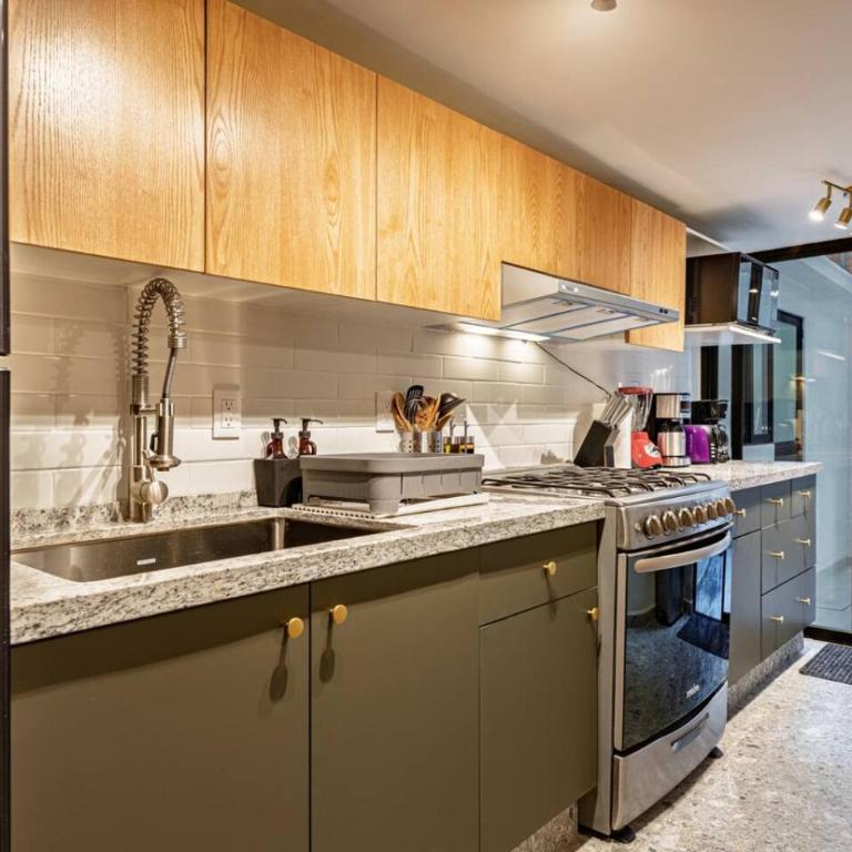 Private Terrace in Roma Norte - Apartment - 5