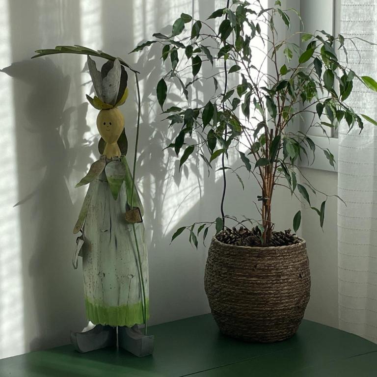 Aux Trompettes Violettes - Apartamento de 1 dormitorio - 36