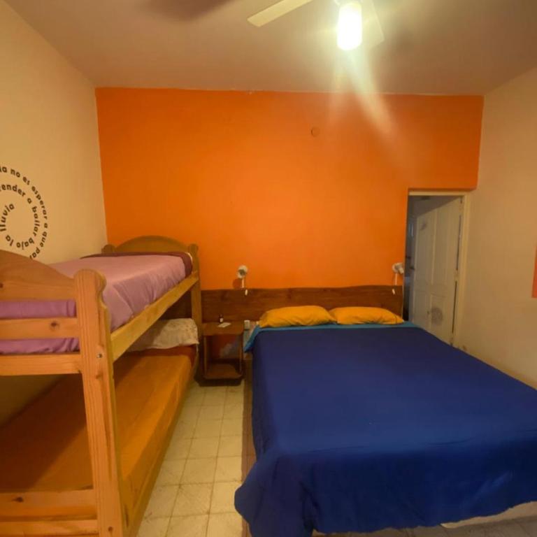 Estrella Vladimir Hostel - Habitación Cuádruple - vistas al jardín - 1