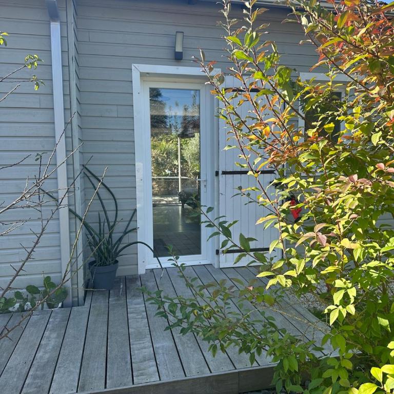 Alice's Studio and Oasis - Appartement 2 Chambres - 2
