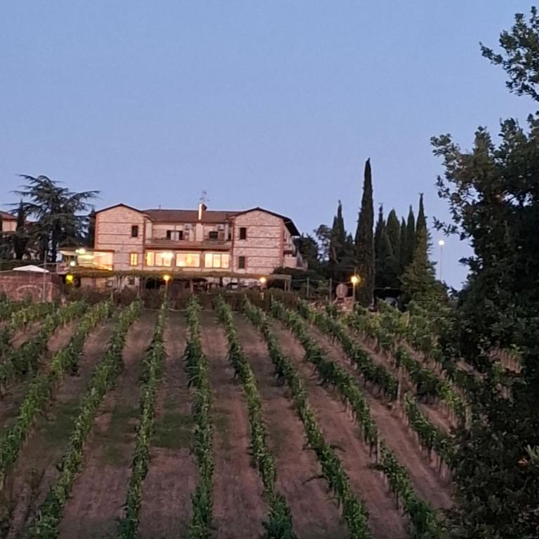 Villa Viola - Appartamento - 29