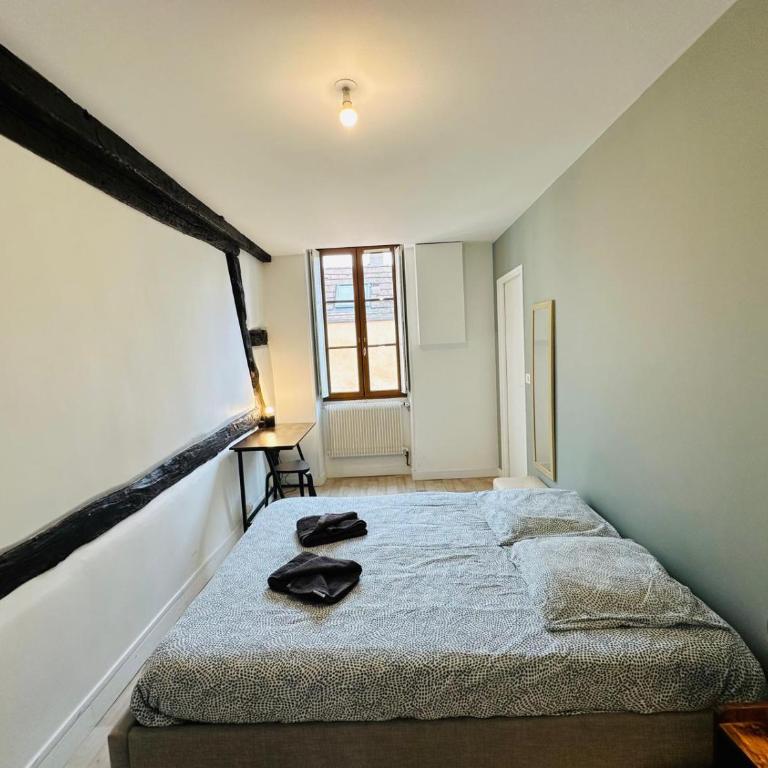 Charmant appartement centre Dijon - Apartment mit 2 Schlafzimmern - 10