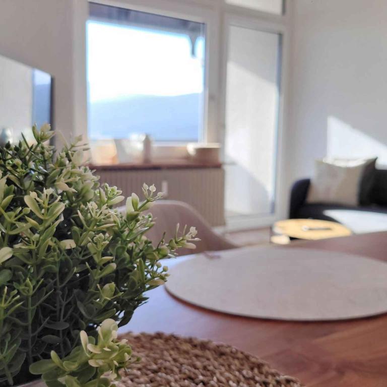 Apartment in Bad Mitterndorf - Steiermark 54982 - Apartment - 32