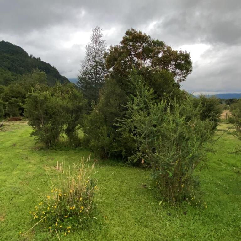 Parcela Hogar de Chucaos - Two-Bedroom House - 22