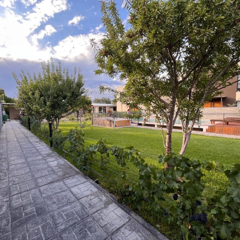 Vineyard Olive Inn -Pool & Wine Route Experience - Apartamento de 1 dormitorio con vistas a la piscina - 5