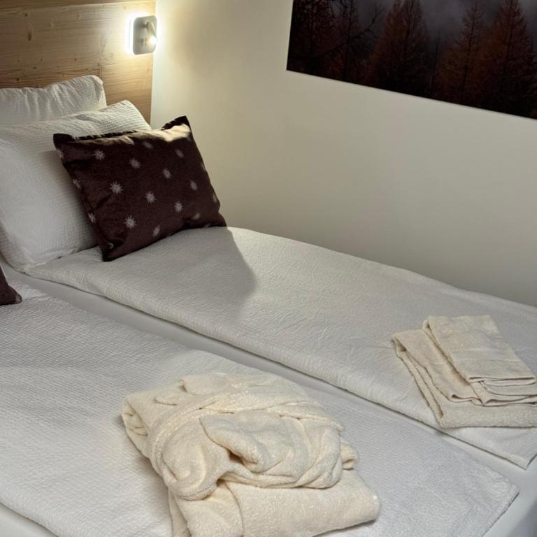Dolomites Rent - VAL DI SOLE - Standard Apartment - 27