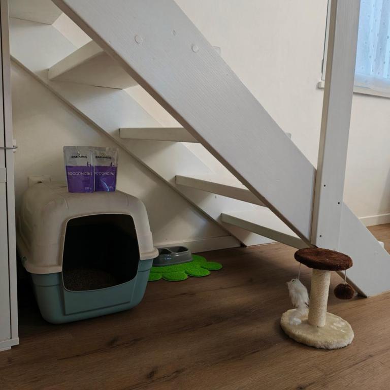 La Mini Home - Dove sentirsi subito a casa - Apartment mit 1 Schlafzimmer - 11