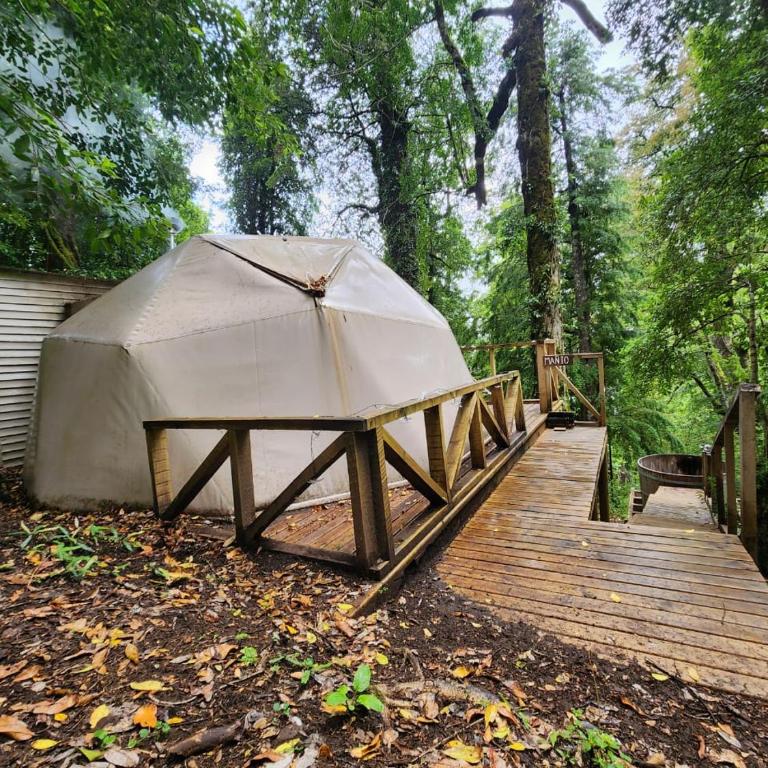 Huerquehue domes - Double Room with Private Bathroom - 1