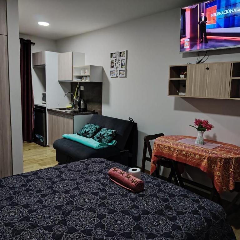 Monoambientes Zona Prado - One-Bedroom Apartment - 2