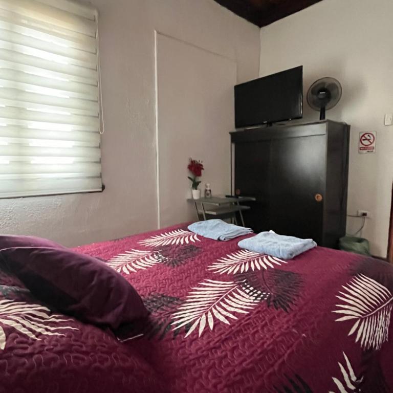 Hostal Cotroneo - King Room - 4