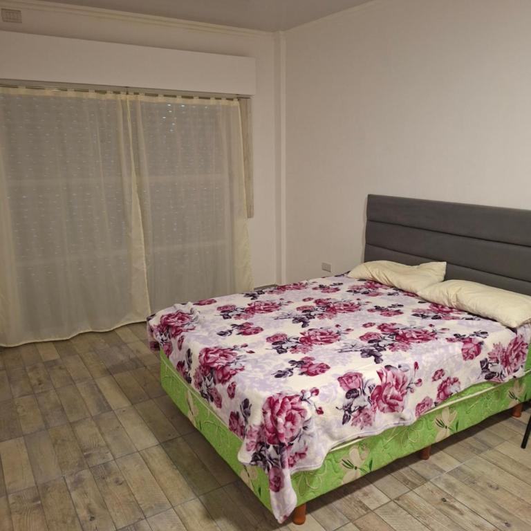 Zaja - One-Bedroom Apartment - 5