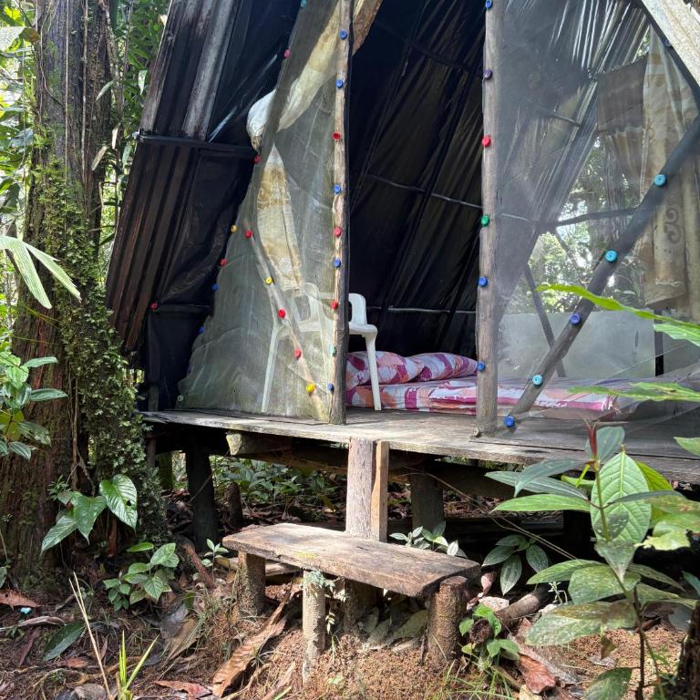 Posada El Silbo Apacible Cabaña, Glamping y Camping - Habitación Doble - 9