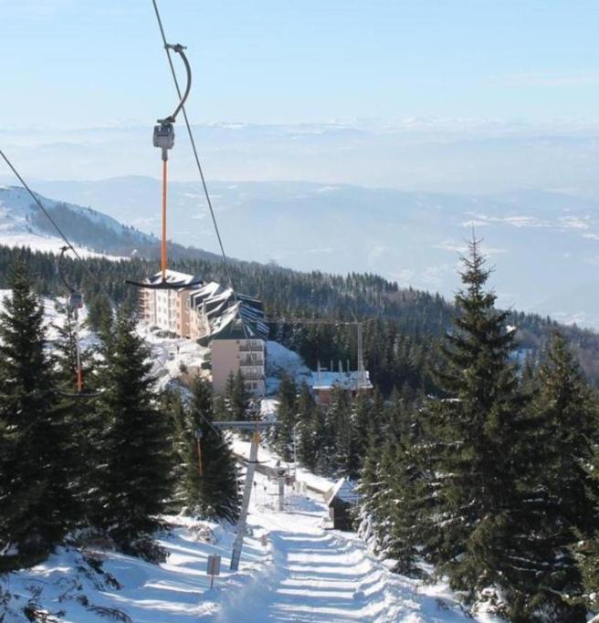 The Pine Loft by Kopaonik - Two-Bedroom Apartment - 16
