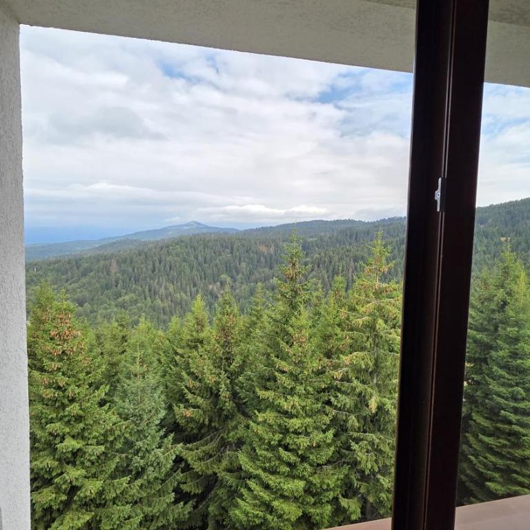 The Pine Loft by Kopaonik - Two-Bedroom Apartment - 10