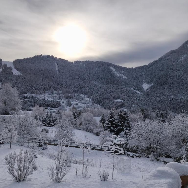 Le petit chalet - Chalet - 33