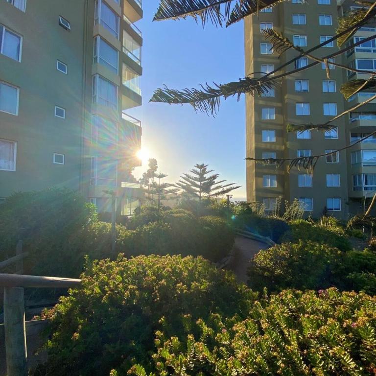 Departamento en Condominio Pinares del Canelillo - One-Bedroom Apartment - 40