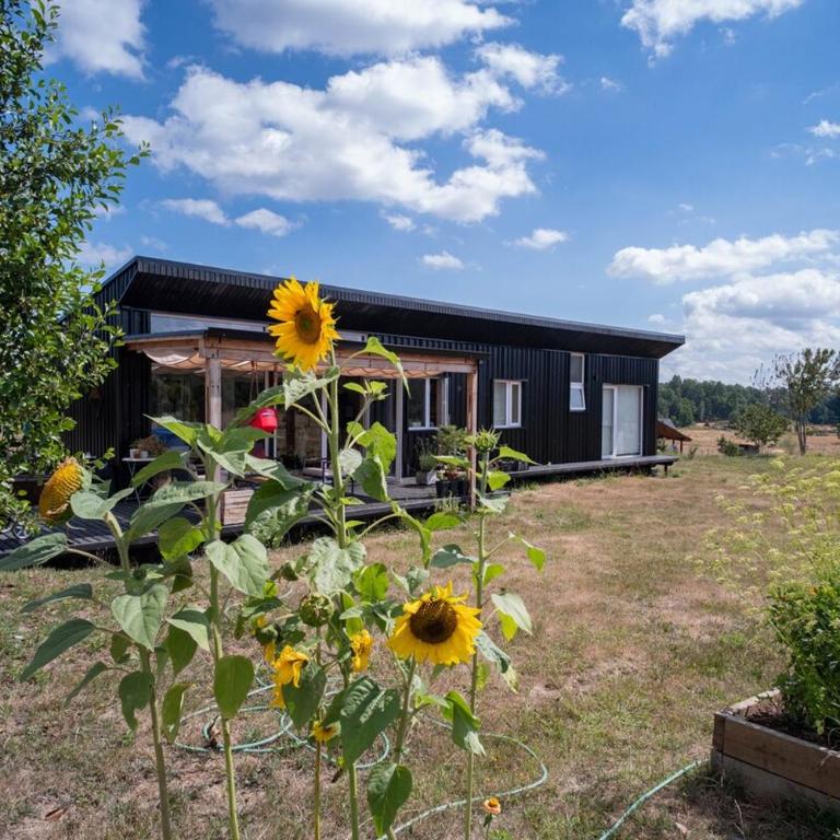 Family home in nature - Casa con 1 dormitorio - 13