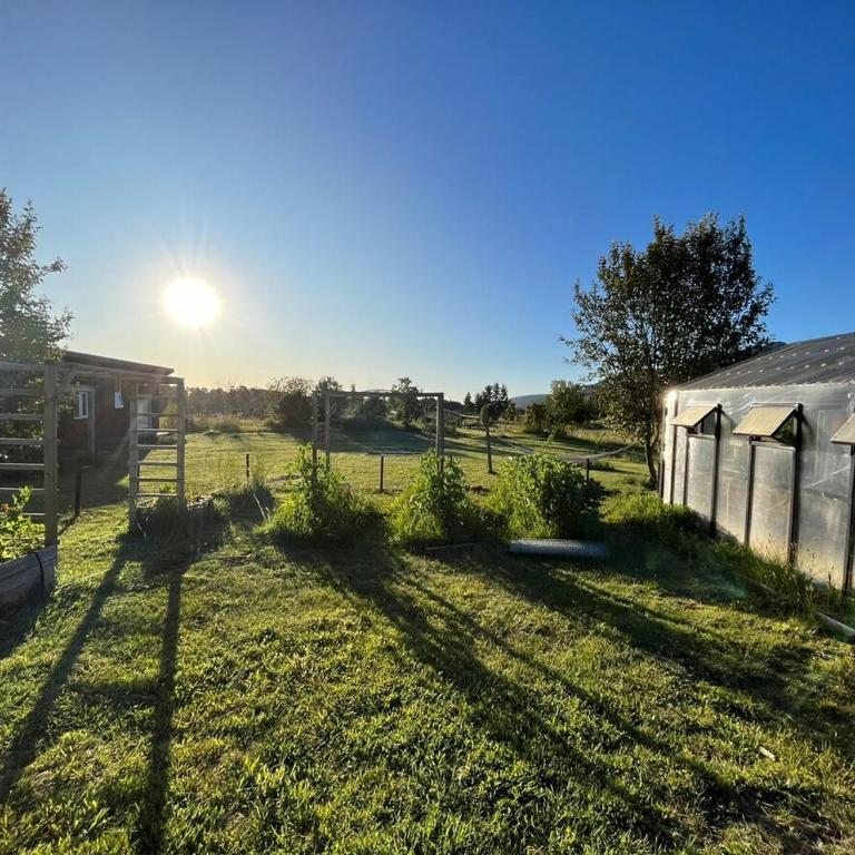 Family home in nature - Casa con 1 dormitorio - 19