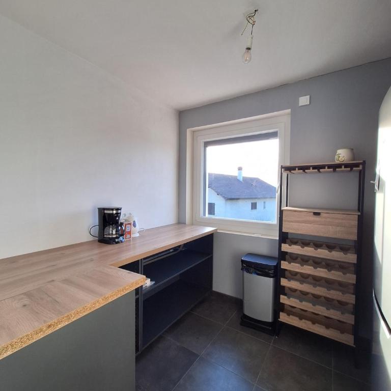 De Mamie à Marie entre lacs et montagnes - Appartement 2 Chambres - 24