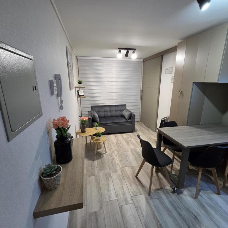 Departamento vista Bulnes - One-Bedroom Apartment - 1