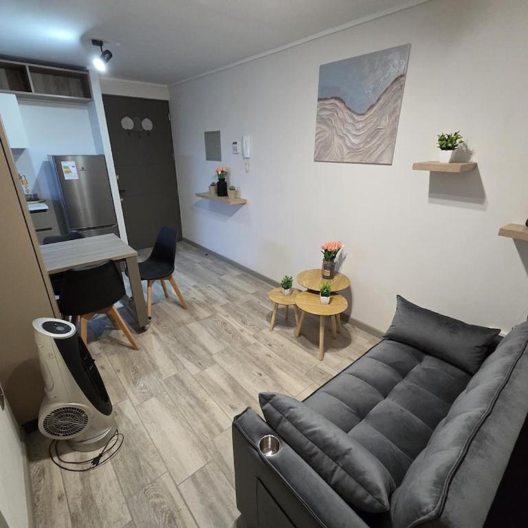 Departamento vista Bulnes - One-Bedroom Apartment - 3