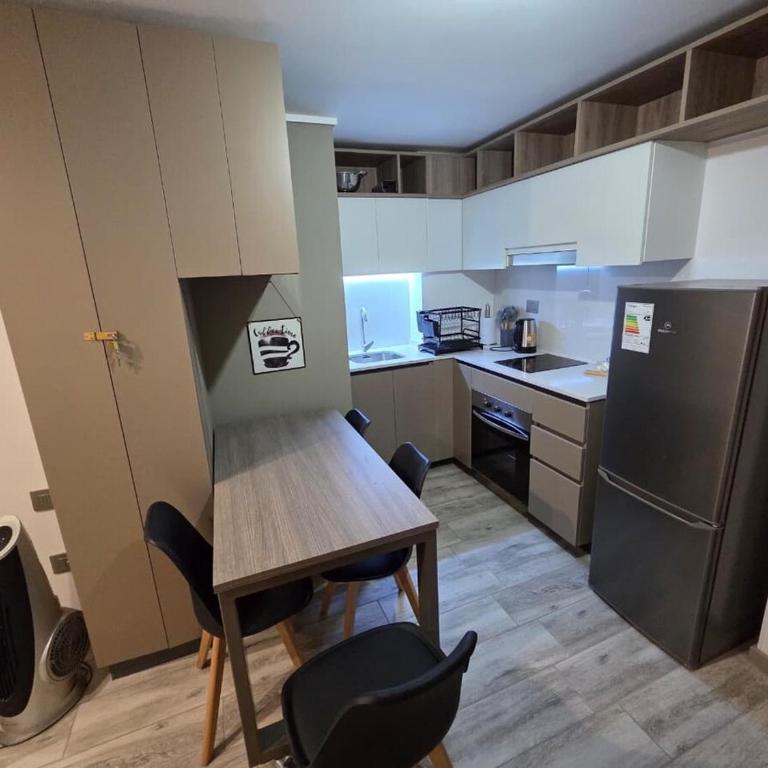 Departamento vista Bulnes - One-Bedroom Apartment - 10
