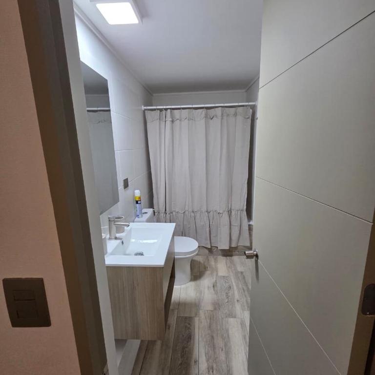 Departamento vista Bulnes - One-Bedroom Apartment - 13