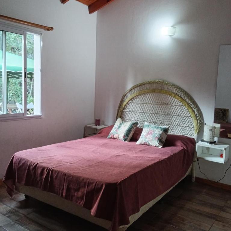 Cabaña del Bosque - One-Bedroom House - 7
