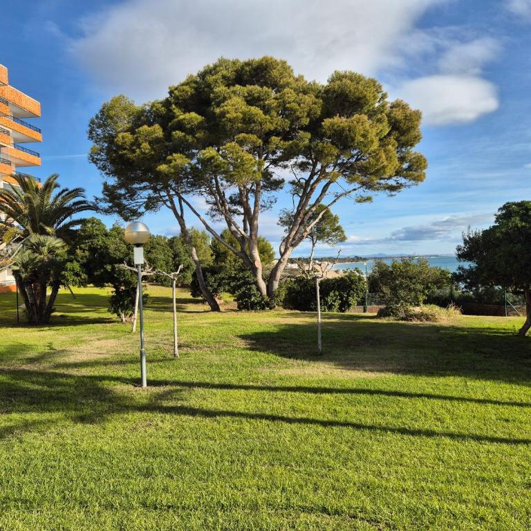 Mediterrani - Primera linea de mar - Apartamento de 3 dormitorios - 36